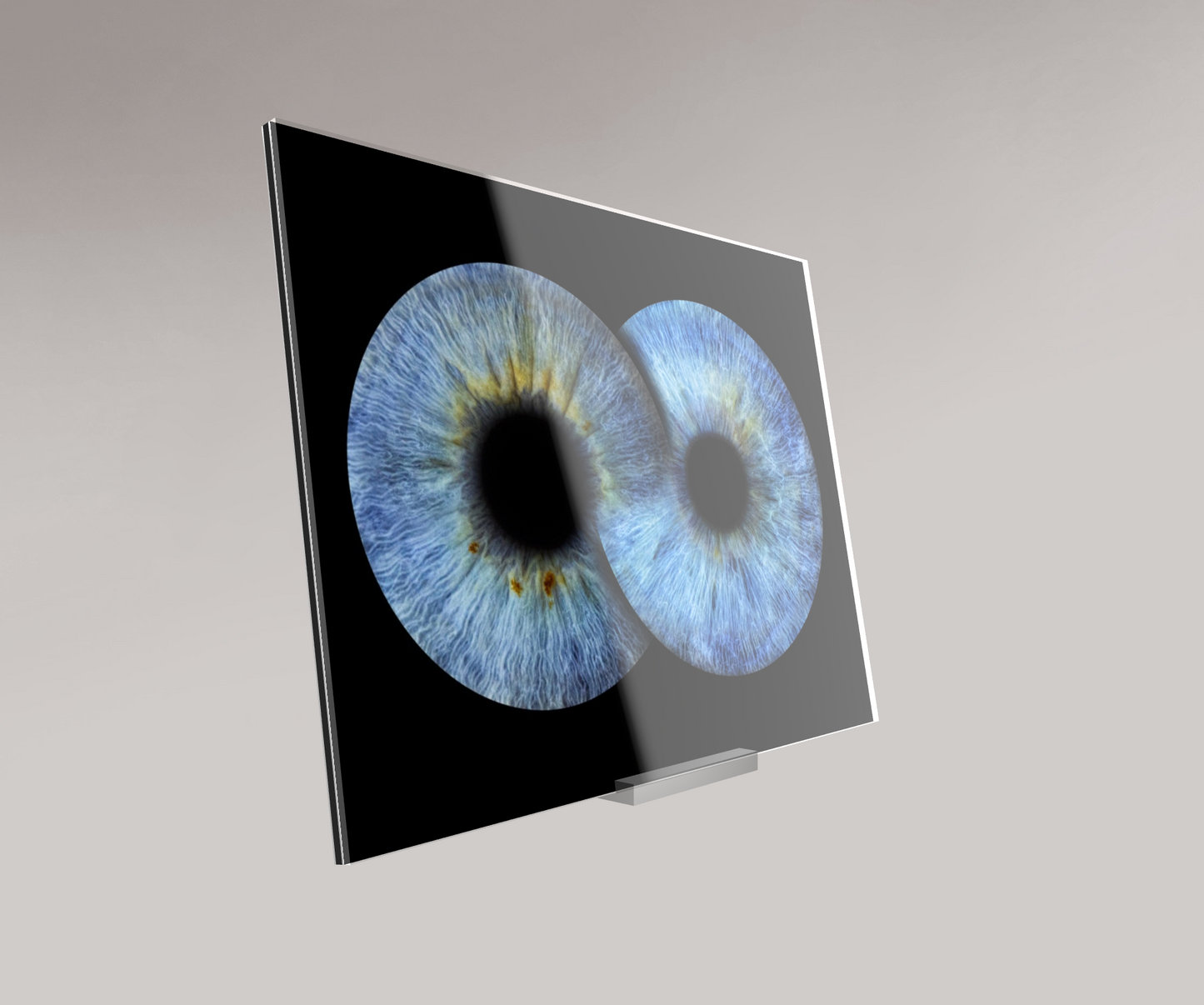 Acrylic Standup Display (gl/mat)